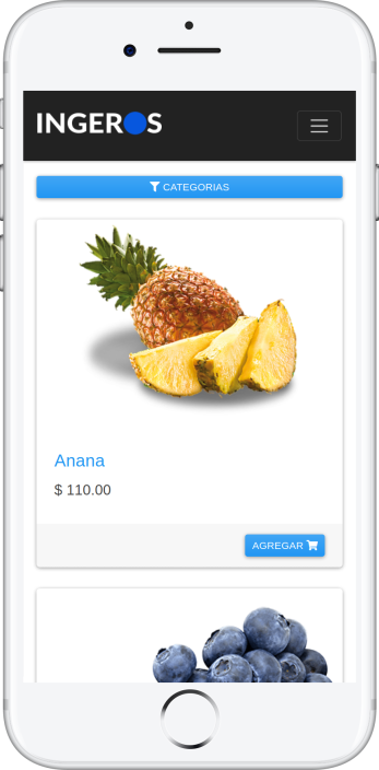 Aplicacion de pedidos para verduleria